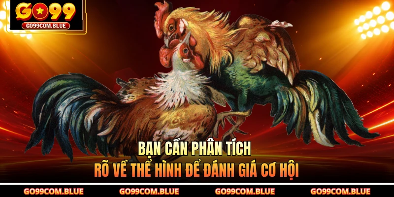 Bạn cần phân tích rõ về thể hình để đánh giá cơ hội