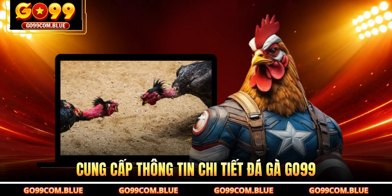 Cung cấp thông tin chi tiết đá gà GO99