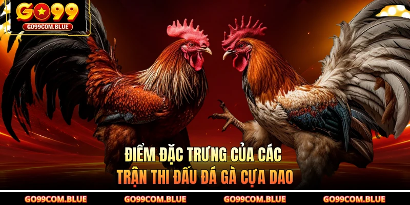 Điểm đặc trưng của các trận thi đấu đá gà cựa dao